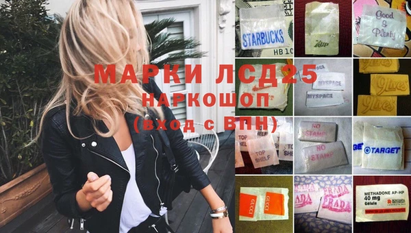 ПСИЛОЦИБИНОВЫЕ ГРИБЫ Елизово