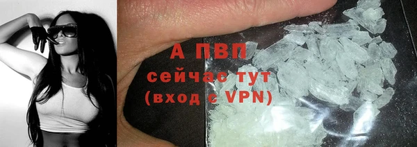 ПСИЛОЦИБИНОВЫЕ ГРИБЫ Елизово