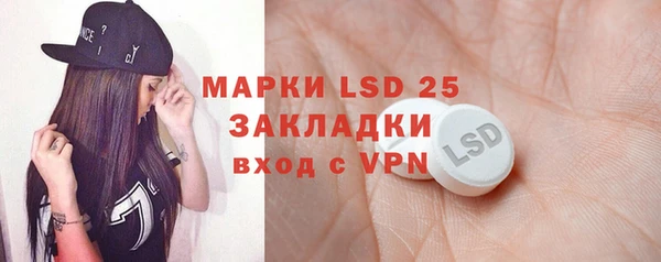 ПСИЛОЦИБИНОВЫЕ ГРИБЫ Елизово